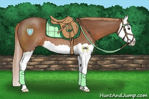 Horse Color:Chestnut Splash 