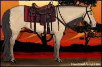 Horse Color:Amber Champagne Dun 