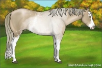 Horse Color:White Spotted Liver Chestnut Pearl Splash 