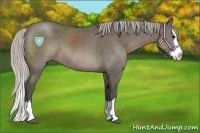 Horse Color:Silver Black Sabino Splash