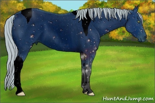 Horse Color:ERROR: UNKNOWN ANOMALY