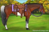 Horse Color:White Spotted Brown Rabicano