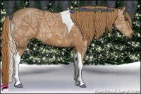 Horse Color:Chestnut Ice Tobiano 