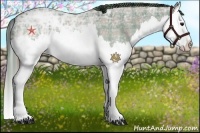 Horse Color:Plaid  Smoky Blue Ice Roan Splash 