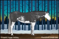 Horse Color:Smoky Black Sabino Splash