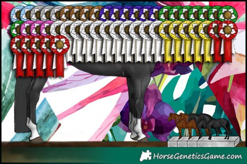 Horse Color:Black Tobiano 