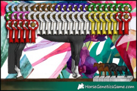 Horse Color:Black Tobiano