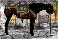 Horse Color:Chocolate Palomino Ice Pearl Sabino Splash Appaloosa Rabicano 