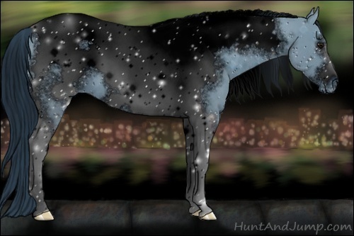 Horse Color:ERROR: UNKNOWN ANOMALY