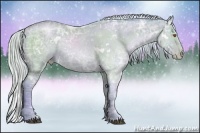 Horse Color:Watercolor White Spotted Silver Black Ice Pearl Rabicano 