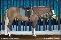 Horse Color:Silver Black Sabino Splash