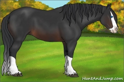 Horse Color:Brown Splash 