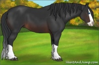 Horse Color:Brown Splash