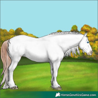 Horse Color:White Spotted Brown Splash Snowflake Varnish 