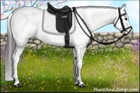 Horse Color:Blue Roan Appaloosa