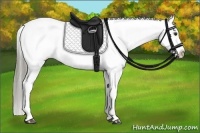 Horse Color:Liver Chestnut Mushroom Snowflake Varnish
