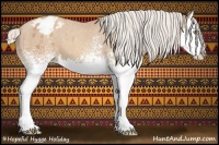 Horse Color:White Spotted Silver Sable Champagne Splash Appaloosa