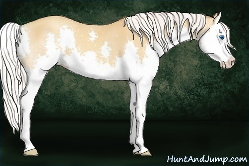 Horse Color:Silver Sable Champagne Splash 