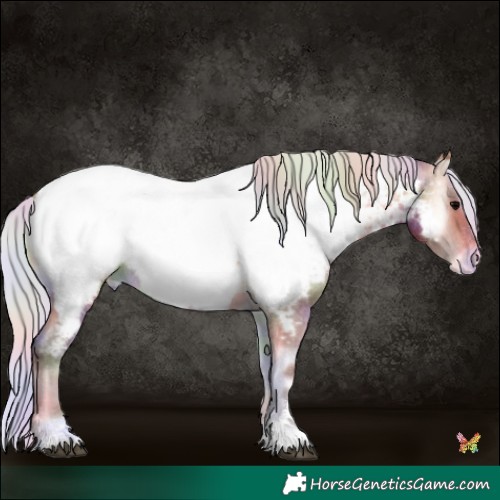 Horse Color:Nacre Silver Brown Onyx Sabino Near Fewspot