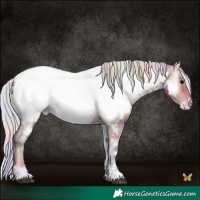 Horse Color:Nacre Silver Brown Onyx Sabino Near Fewspot
