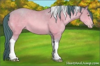 Horse Color:Watercolor Amber Champagne Tobiano