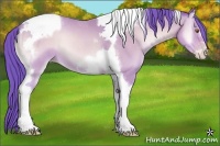 Horse Color:Watercolor Amber Champagne Onyx Tobiano Frame
