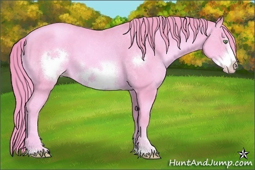 Horse Color:Watercolor Gold Champagne Sabino Frame