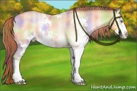 Horse Color:Nacre Buckskin Pearl Onyx Sabino 