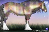 Horse Color:Nacre Bay Onyx