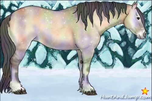 Horse Color:Nacre Bay Roan Onyx 
