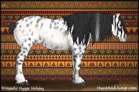 Horse Color:Brown Roan Onyx Sabino Appaloosa