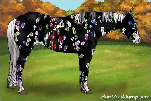 Horse Color:Black Ice Near Leopard 