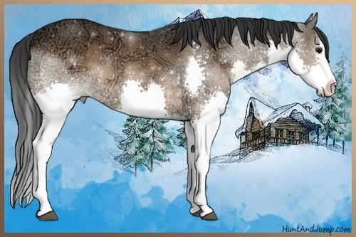 Horse Color:Bay Ice Sabino Splash 