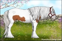 Horse Color:Silver Bay Splash Tobiano 