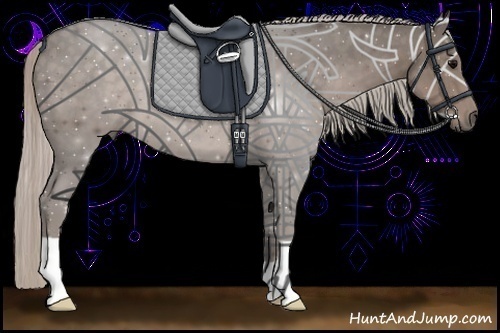 Horse Color:Silver Black 