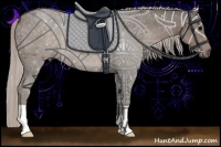 Horse Color:Silver Black 