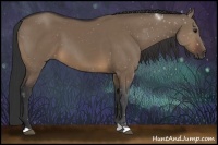 Horse Color:Brown Dun 