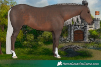 Horse Color:Silver Black 