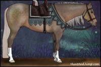 Horse Color:Silver Black 