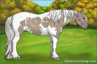 Horse Color:White Spotted Silver Grullo Tobiano Rabicano