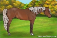 Horse Color:Silver Brown