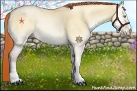 Horse Color:Amber Champagne Pearl Onyx Sabino Rabicano