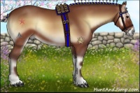 Horse Color:Silver Brown Onyx