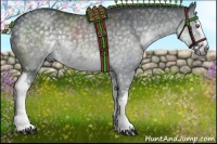 Horse Color:White Spotted Silver Black Chinchilla Rabicano