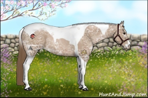 Horse Color:Black Ice Pearl Sabino Tobiano Rabicano 