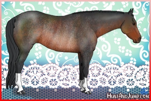 Horse Color:Brown Rabicano 