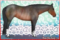 Horse Color:Brown Rabicano 