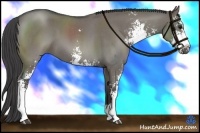 Horse Color:Smoky Grullo Roan Sabino 