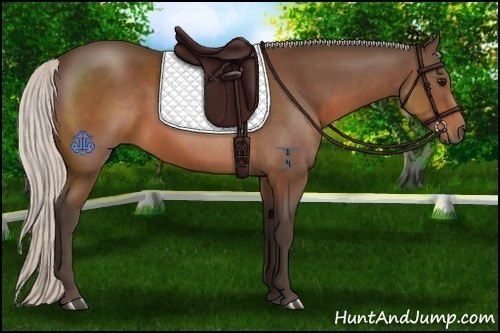 Horse Color:Silver Brown Sabino Rabicano 