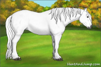 Horse Color:Gray Watercolor Bay 